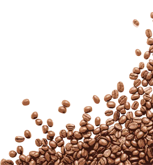 coffee beans